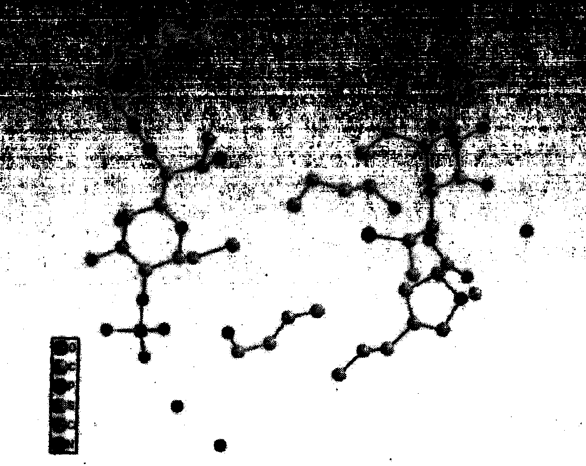 克林霉素磷酸酯溶剂化物晶体及其制备方法