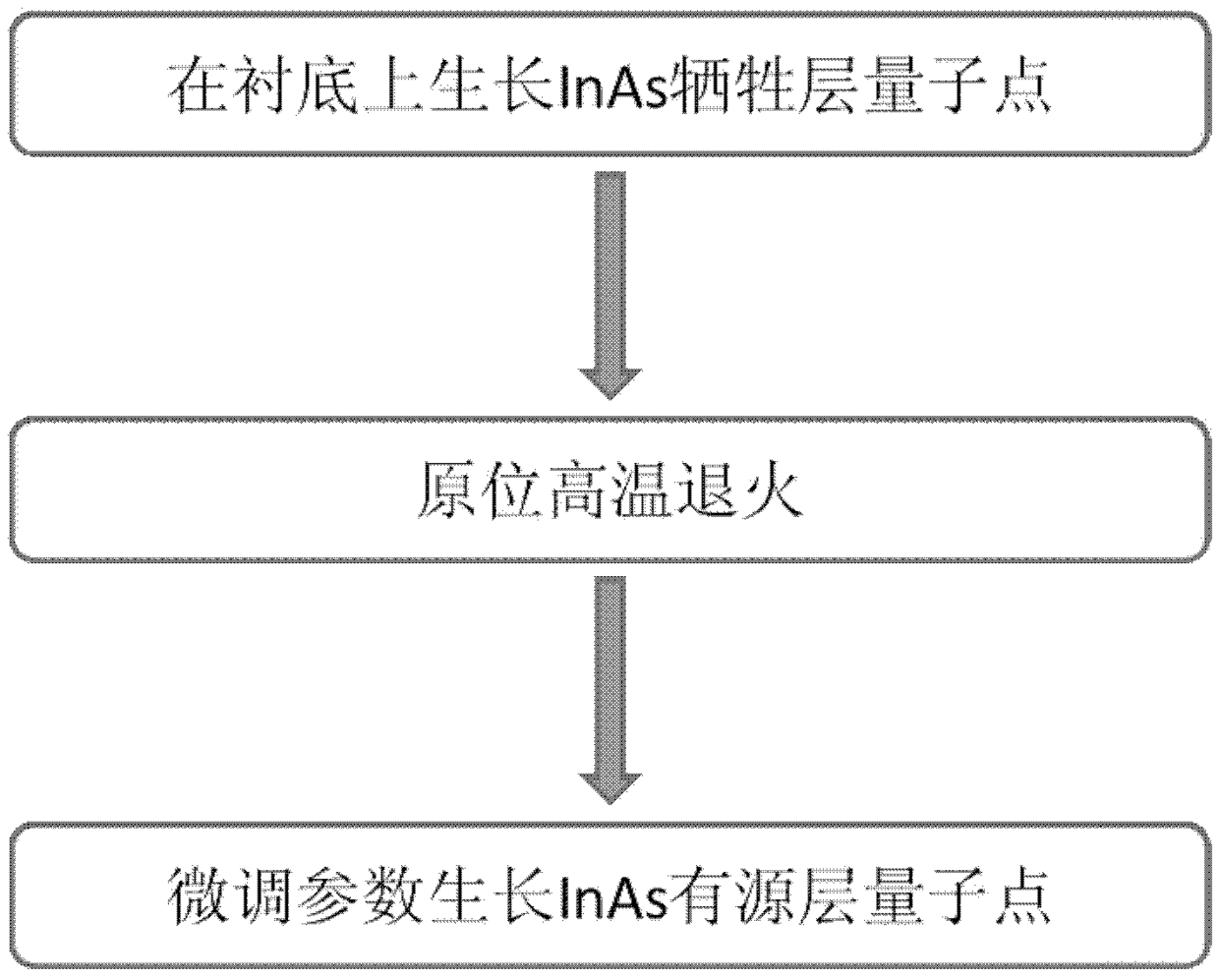 一种低密度InAs量子点的分子束外延生长方法